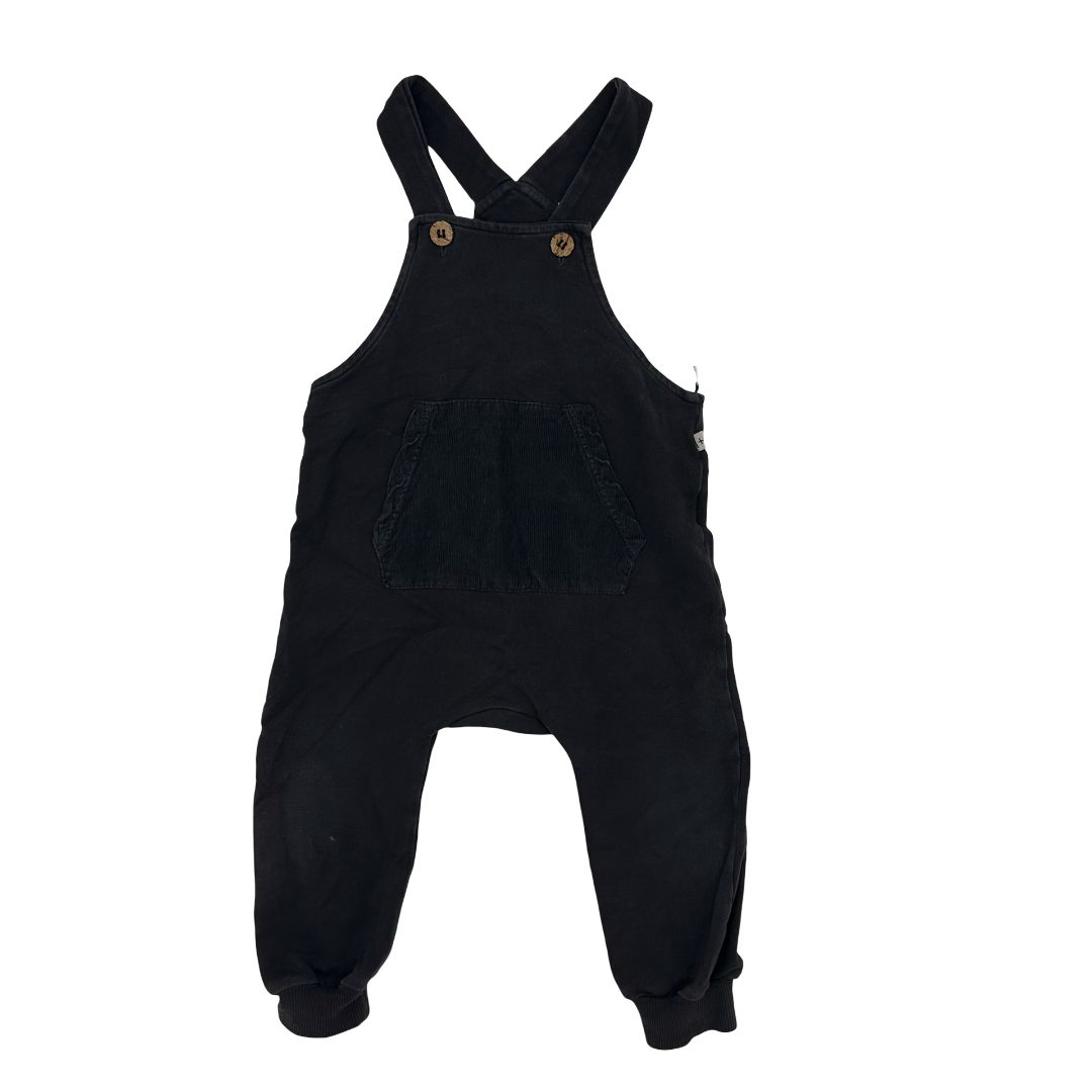1+ in the Family overalls, 18 months