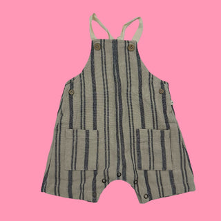 1+ in the Family overalls, 12m