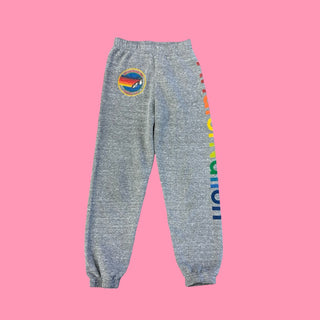 Aviator Nation sweatpants, 10 years