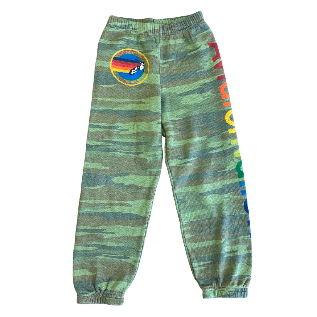 Aviator Nation sweatpants, 10 years